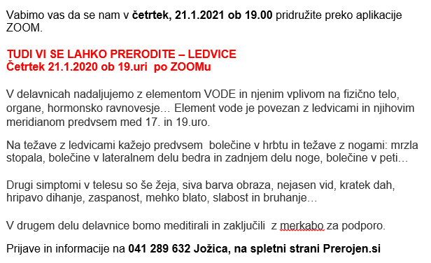 Brez naslova.png